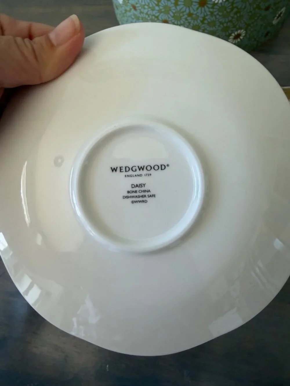 Wedgwood Daisy Tea Story Cup & Saucer Set With Keepsake Box Rare Find